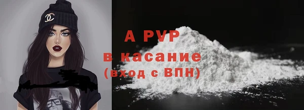 бошки Вяземский