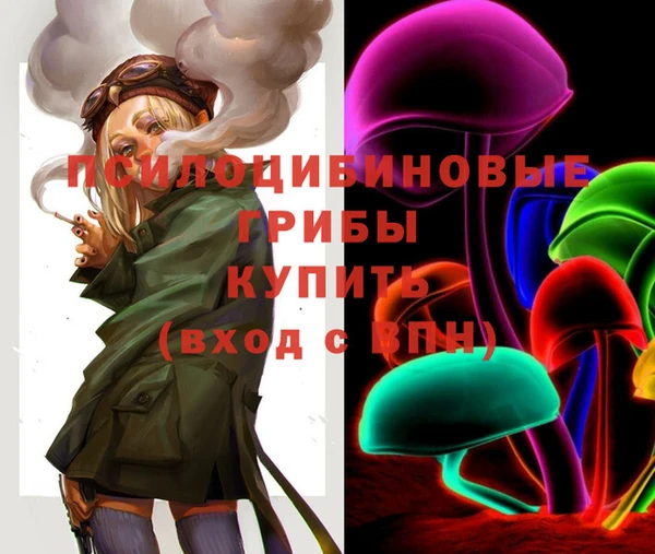 бошки Вяземский