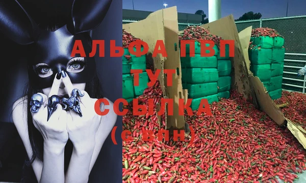 стаф Вязники